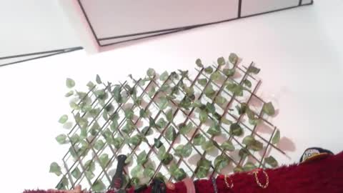 lorena  allison online show from 10-29-25, 08:32