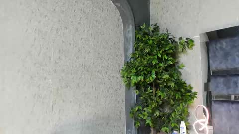 Louis online show from 11-25-25, 06:02