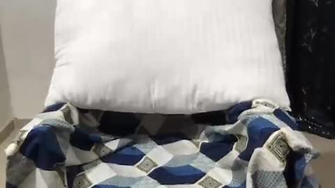 Snapshot of love_riva chatting on 03-27-26, 10:37 Riva online show from 03-27-26, 10:37