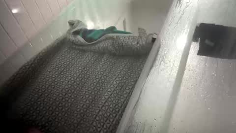 Snapshot of lovefeetonmyface29 chatting on 09-22-25, 09:55 lovefeetonmyface29 online show from 09-22-25, 09:55