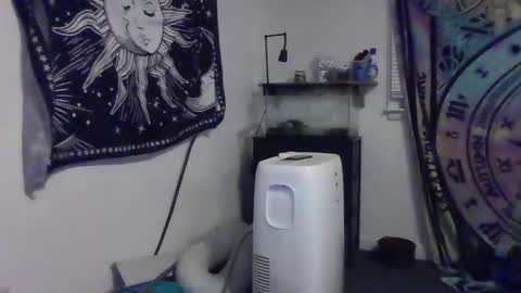 Bigtitsgirl113 online show from 12-04-24, 03:37