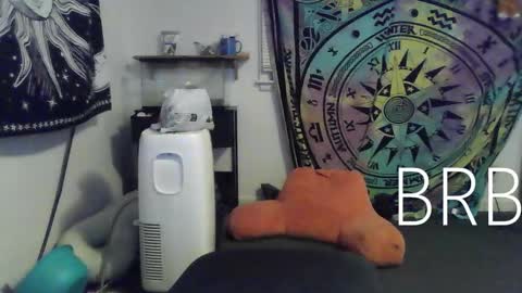 Bigtitsgirl113 online show from 01-18-25, 12:46