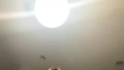 Snapshot of lovellly_ chatting on 01-24-25, 10:51 Love online show from 01-24-25, 10:51