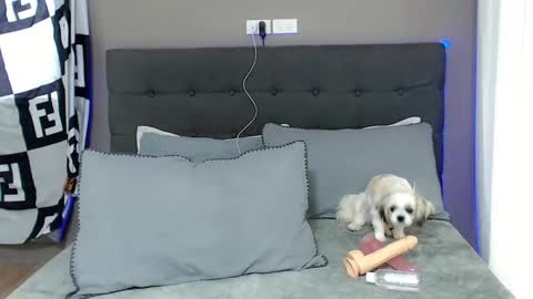 Snapshot of lovely_jastine chatting on 12-02-24, 01:58 Jastine online show from 12-02-24, 01:58