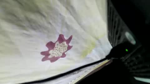 lovelypinay2 online show from 02-05-25, 03:34