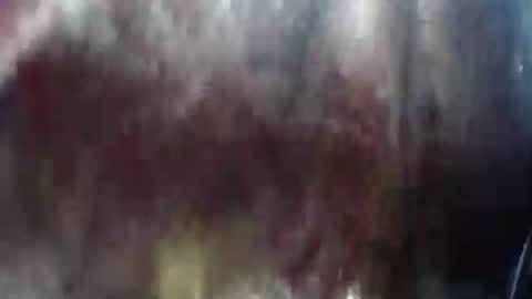 Mature lover2 online show from 02-21-25, 10:37