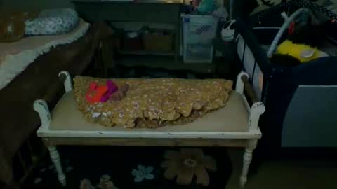 lovetubes101 online show from 09-19-25, 01:18