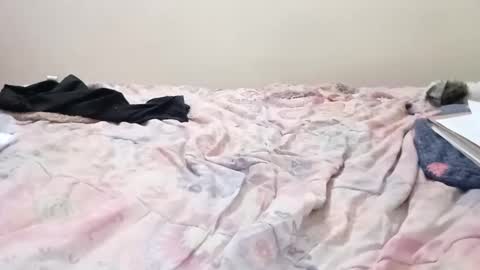 Snapshot of luanapowerful chatting on 02-11-25, 05:05 luanapowerful online show from 02-11-25, 05:05