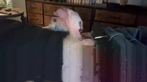 lubthemtitties online show from 12-22-24, 08:49