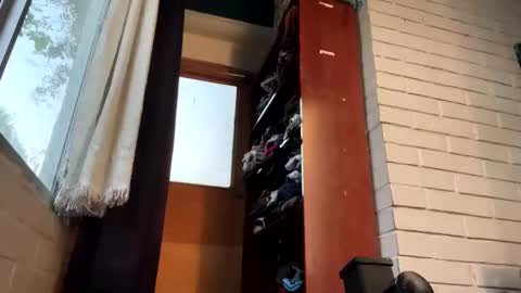 Snapshot of luchosaando chatting on 12-22-24, 11:52 Felipe online show from 12-22-24, 11:52