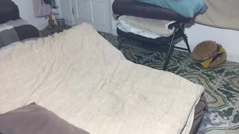 lucifer_curious online show from 02-12-26, 08:59