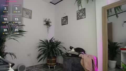 Snapshot of luciiana_lol chatting on 02-25-25, 03:05 luciiana online show from 02-25-25, 03:05