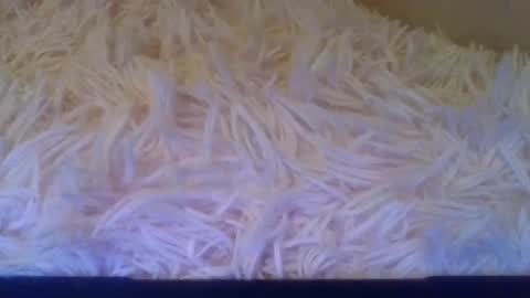 prettybaby1012 online show from 09-20-25, 05:14