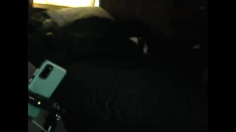 Snapshot of luckyblondecouple chatting on 12-09-24, 02:28 LuckyBlondeCouple online show from 12-09-24, 02:28