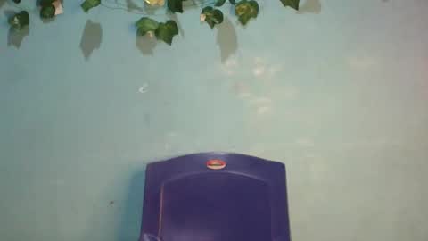 Gloria online show from 11-17-25, 01:00