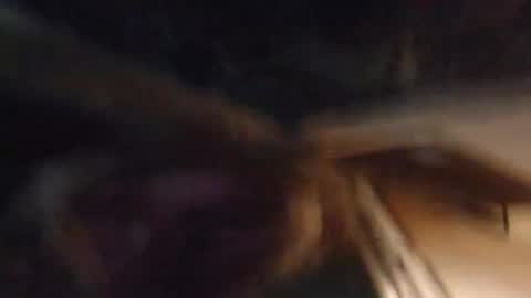 Lucy Vybes and Go-Gert online show from 03-04-25, 07:08