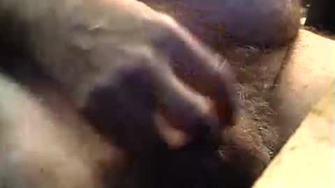 Snapshot of lukestarfckr chatting on 09-11-25, 09:20 lukestarfckr online show from 09-11-25, 09:20