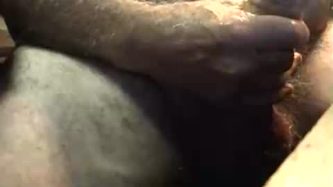 Snapshot of lukestarfckr chatting on 10-05-25, 05:50 lukestarfckr online show from 10-05-25, 05:50