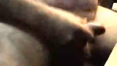 Snapshot of lukestarfckr chatting on 11-02-25, 09:22 lukestarfckr online show from 11-02-25, 09:22