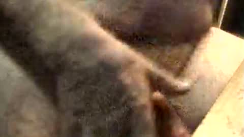 Snapshot of lukestarfckr chatting on 11-10-25, 09:19 lukestarfckr online show from 11-10-25, 09:19