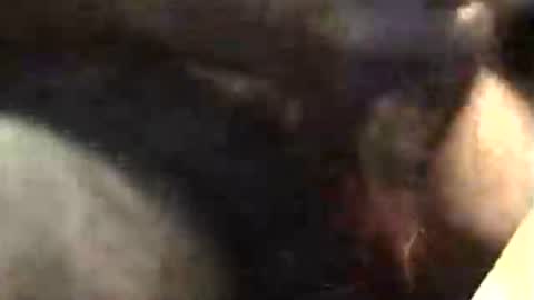 Snapshot of lukestarfckr chatting on 11-18-25, 05:34 lukestarfckr online show from 11-18-25, 05:34