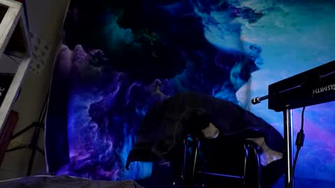 lukewilde online show from 02-24-25, 11:32