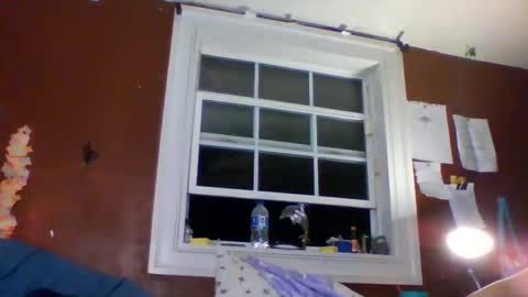 lunasecretadmirer online show from 03-01-26, 05:31