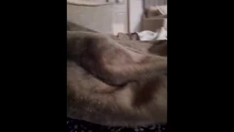 lunchmoney23 online show from 03-06-26, 02:30