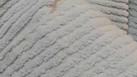 Snapshot of lustgardener67 chatting on 12-15-24, 07:24 lustgardener67 online show from 12-15-24, 07:24