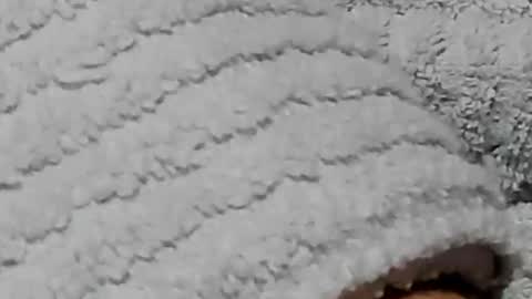 Snapshot of lustgardener67 chatting on 02-03-25, 07:21 lustgardener67 online show from 02-03-25, 07:21