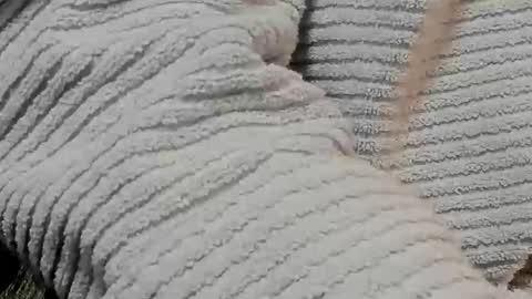 Snapshot of lustgardener67 chatting on 02-09-25, 07:16 lustgardener67 online show from 02-09-25, 07:16