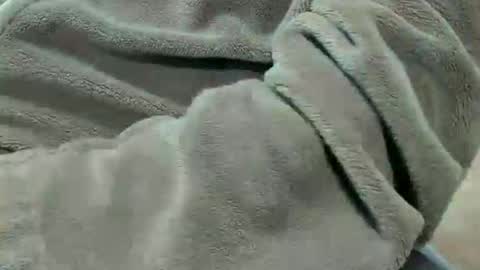 Snapshot of lustgardener67 chatting on 10-07-25, 07:11 lustgardener67 online show from 10-07-25, 07:11