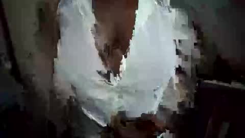 Nessy online show from 10-20-25, 12:22