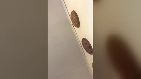 luxvietes online show from 01-17-26, 11:48