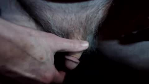 lwg1951 online show from 04-08-26, 04:01