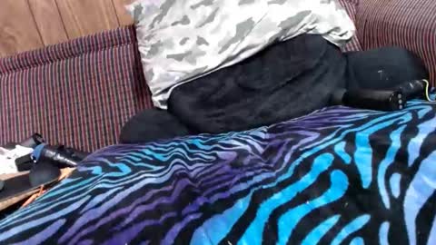 Snapshot of lyke2fuck chatting on 02-06-25, 11:32 Lyke2fuck online show from 02-06-25, 11:32