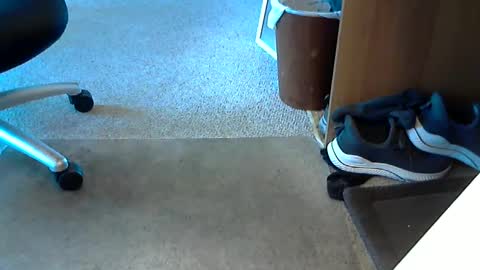 lynne_cd_nj online show from 10-01-25, 08:26