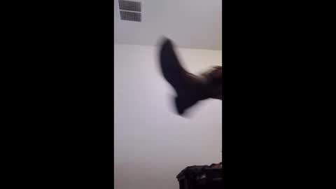 m2tonerfux online show from 04-25-26, 05:21