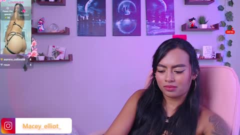 Macey Elliot Modelo Independiente online show from 02-06-25, 03:31