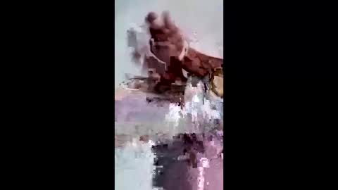 maciasbraulio846 online show from 02-07-26, 06:50