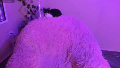 Madeline  online show from 09-29-25, 01:11