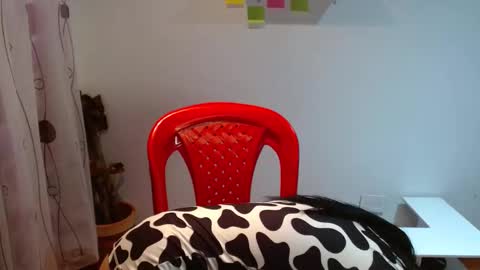 Snapshot of madisoncambel chatting on 01-27-25, 10:38 Madison Cambel online show from 01-27-25, 10:38