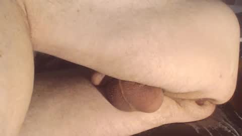 maestro2017 online show from 01-12-25, 05:33