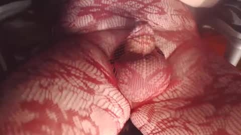 maestro2017 online show from 02-26-25, 09:48