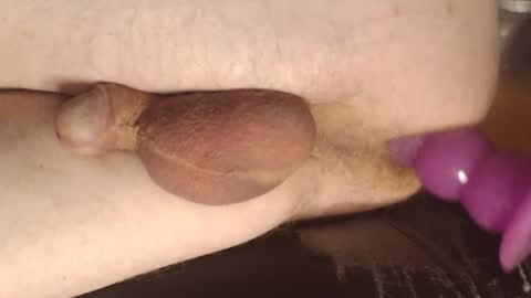 maestro2017 online show from 03-07-25, 11:49