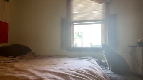 mainecollegeboy online show from 02-26-25, 01:19