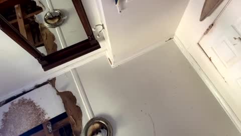 mainecollegeboy online show from 09-15-25, 03:34