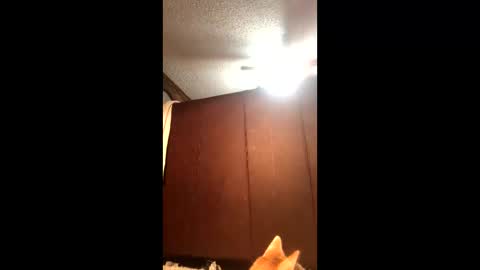 KarizmaticKitten online show from 02-21-26, 12:11