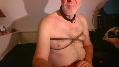Snapshot of malebdsmslut chatting on 02-16-25, 08:21 CommandbondageNipples bondage kink submissive lovense slave wgear. modequiethvyBondage If Password goldfish online show from 02-16-25, 08:21