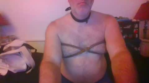 Snapshot of malebdsmslut chatting on 10-14-25, 07:31 CommandbondageNipples bondage kink submissive lovense slave wgear. modequiethvyBondage If Password goldfish online show from 10-14-25, 07:31